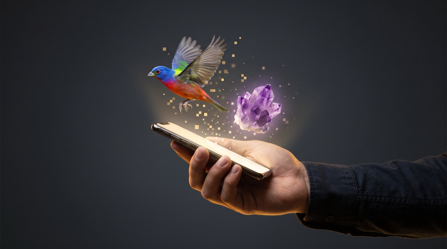 A bird and a crystal emerging from a phone screen