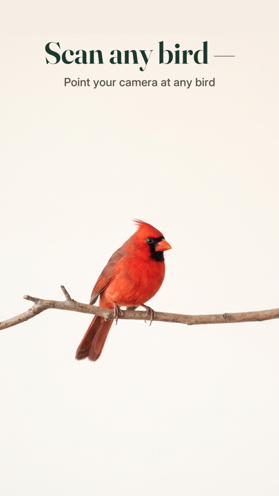 Aviarist — scan a bird