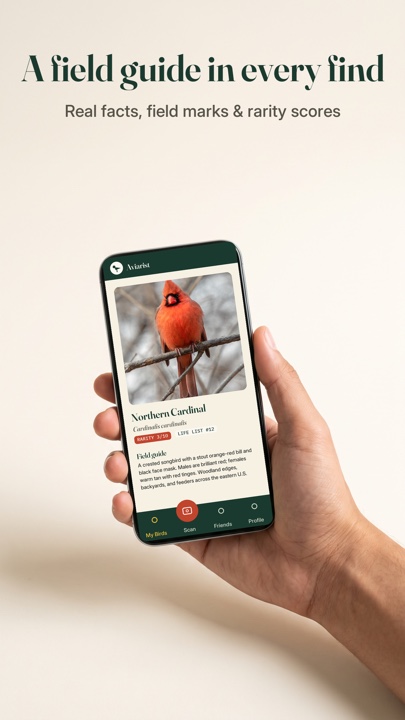 Aviarist — field guide
